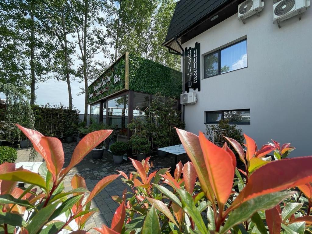 Hotel Renato House Târgu Jiu Exteriér fotografie